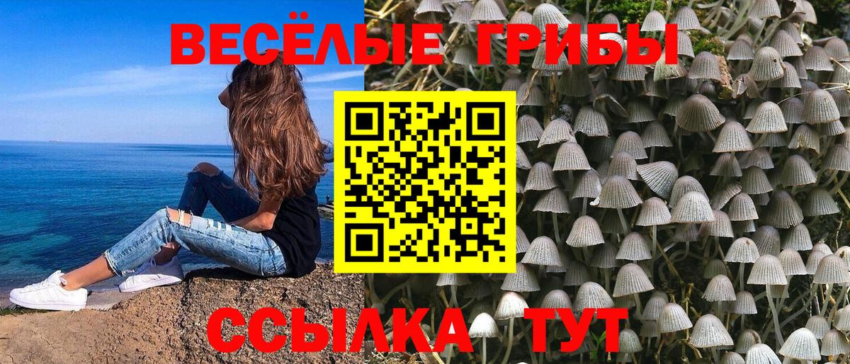 Галлюциногенные грибы GOLDEN TEACHER  Галлюциногенные грибы Cubensis  Дальнегорск  Вход с VPN 