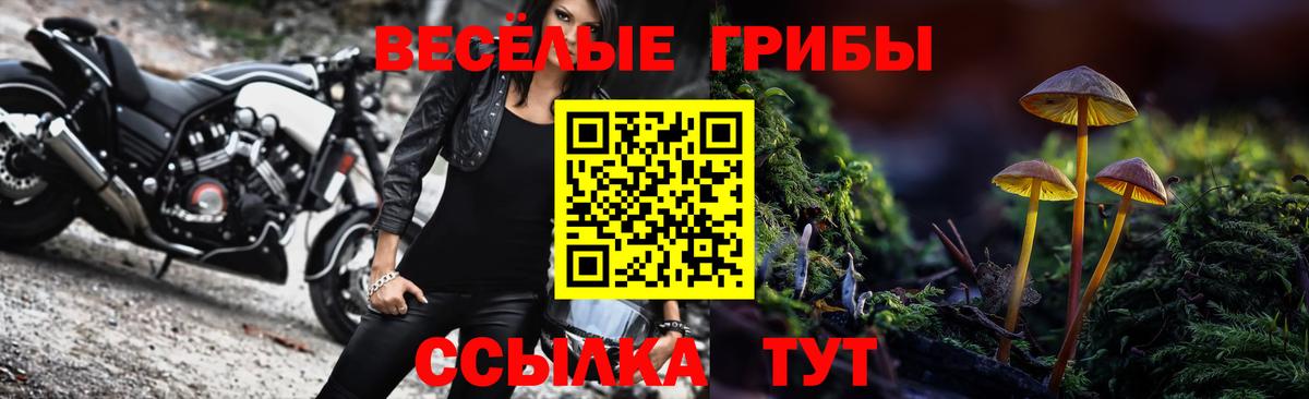 Псилоцибиновые грибы Psilocybine cubensis  Дальнегорск  Галлюциногенные грибы ЛСД 